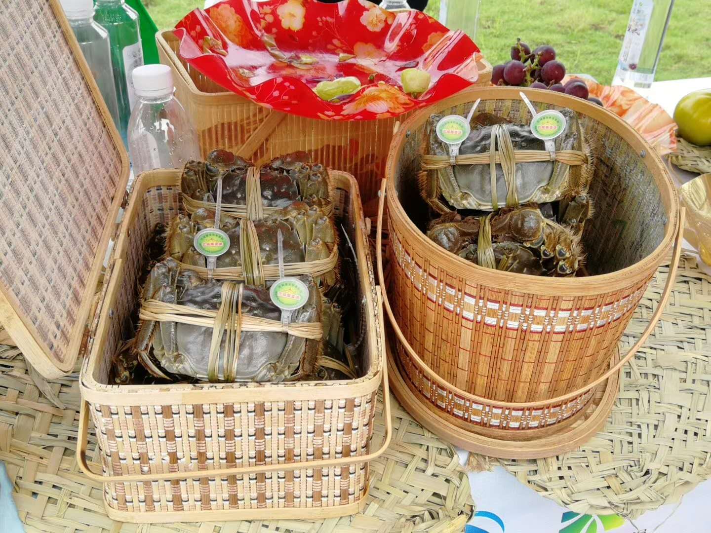 陽(yáng)澄湖螃蟹